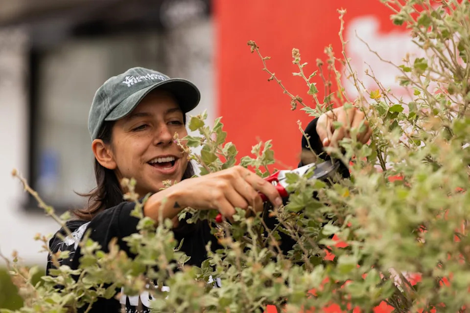 Nina Raj of Altadena Seed Library prunes a bush