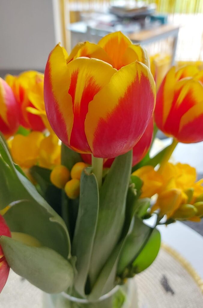 I got these for my wonderful mother [OC]