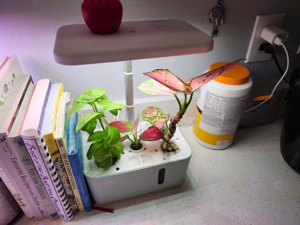 My hydroponics!