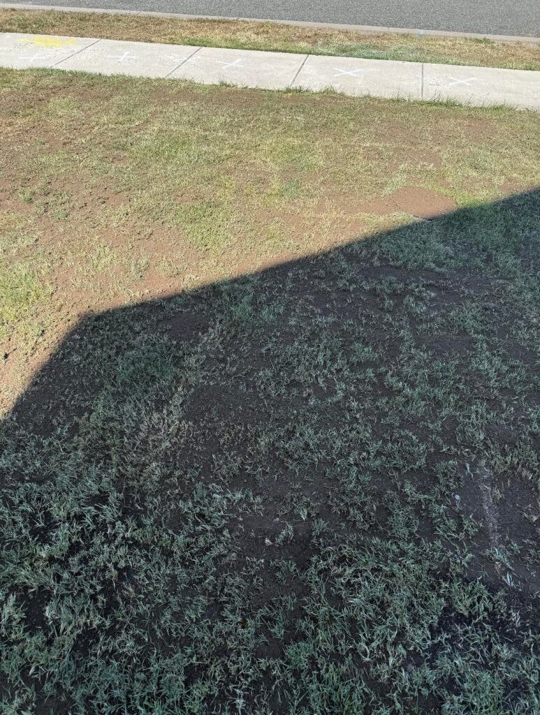 Wanted to thank you all. My progress