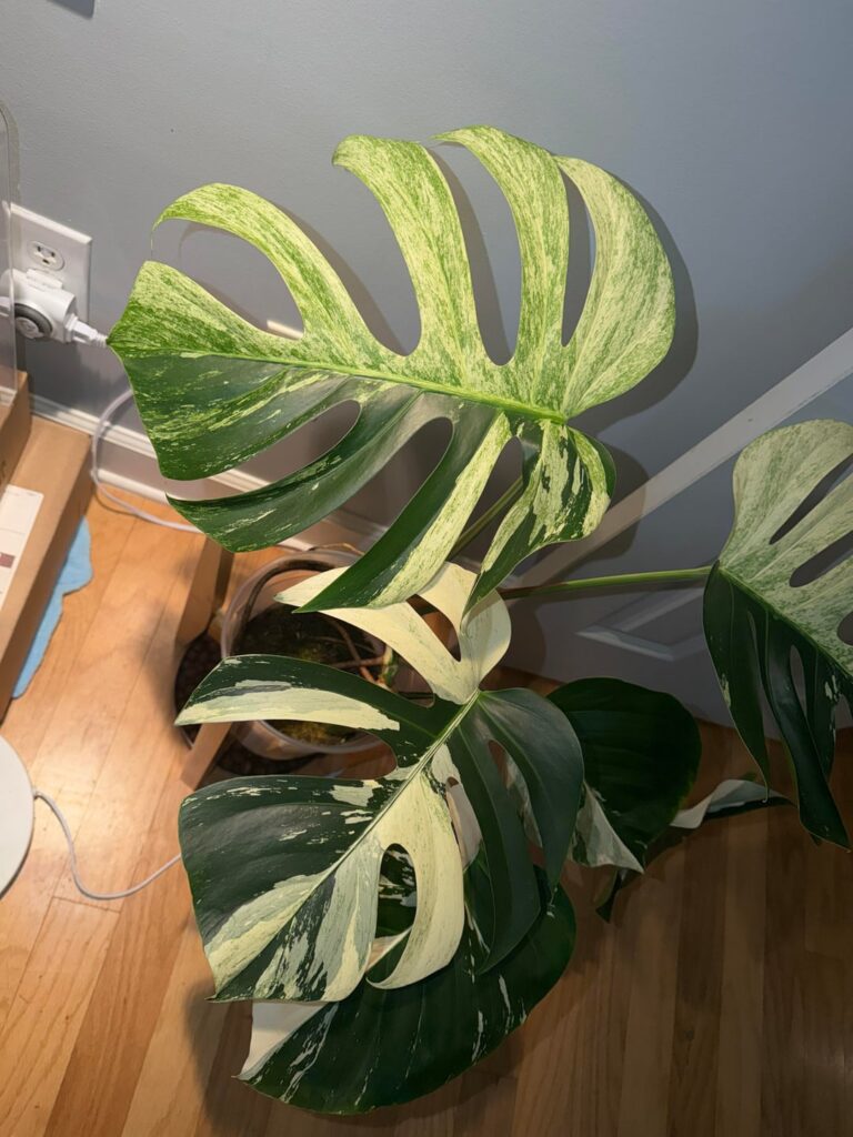 A few of my favorites.