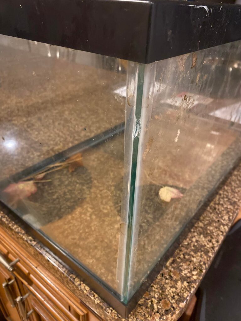 Is this tank still usable?