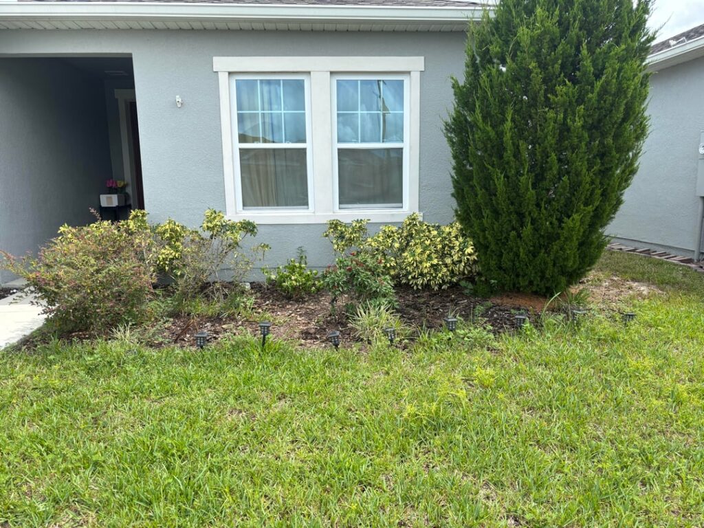 A whole day spent gardening. Before and after!