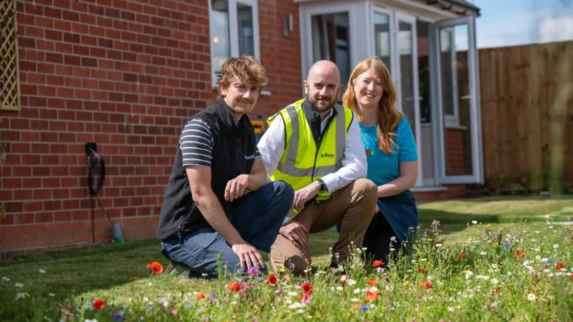 Bellway launches show home gardens initiative to promote biodiversity Bellway has announced a collaboration with Plantlife to promote native-focused gardening in its show homes.