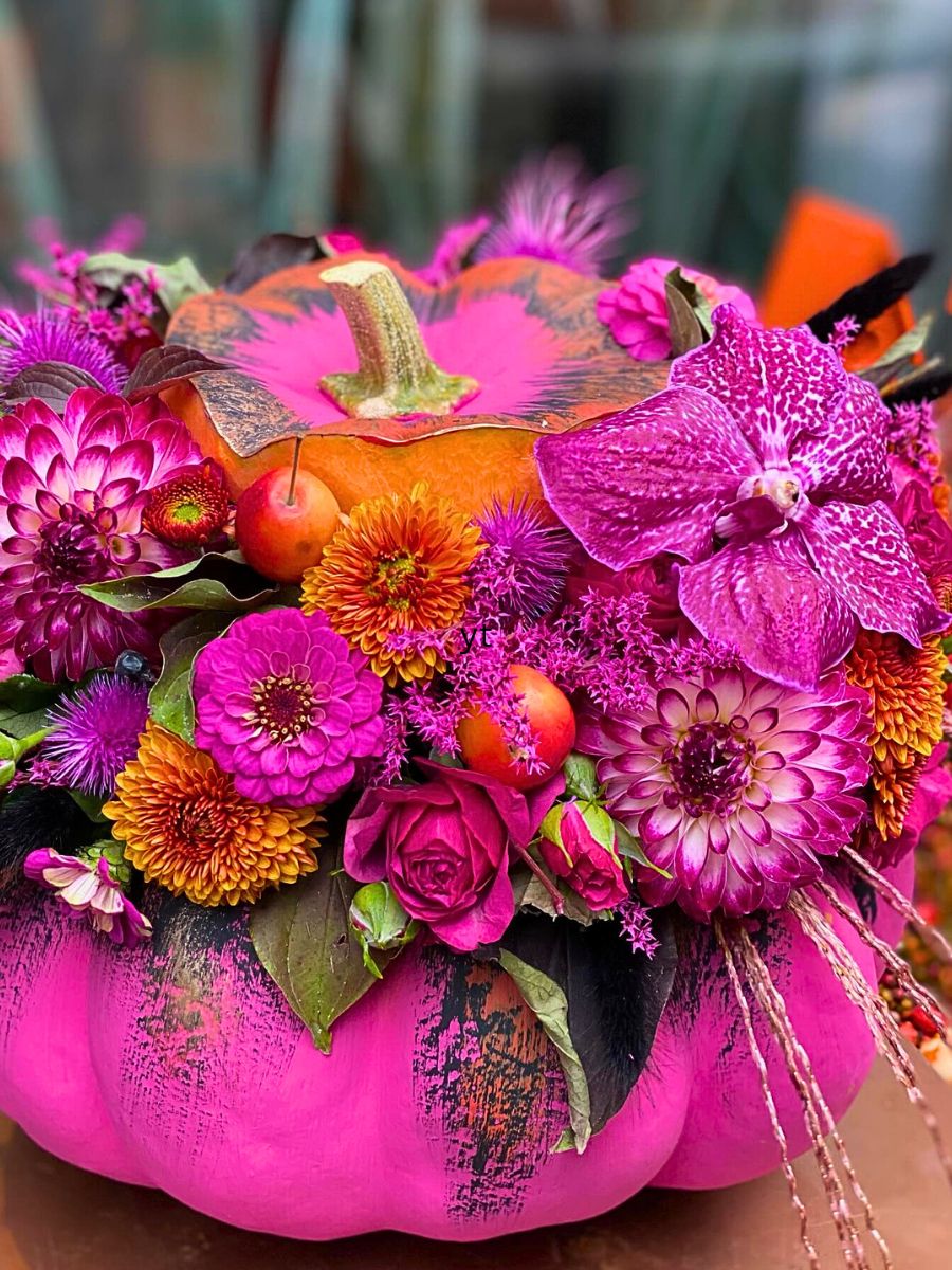 A Combo of Pink and Orange by Attila Németh Winner Gateway to the Americas