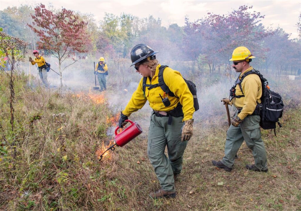 Controlled burn lit to fight invasive plants at the Pittsburgh Botanic Garden