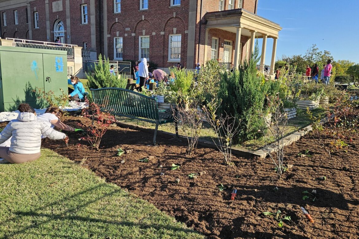 2 new gardens will improve drainage and help a Langley Park community, officials say 2 new gardens will improve drainage and help a Langley Park community, officials say