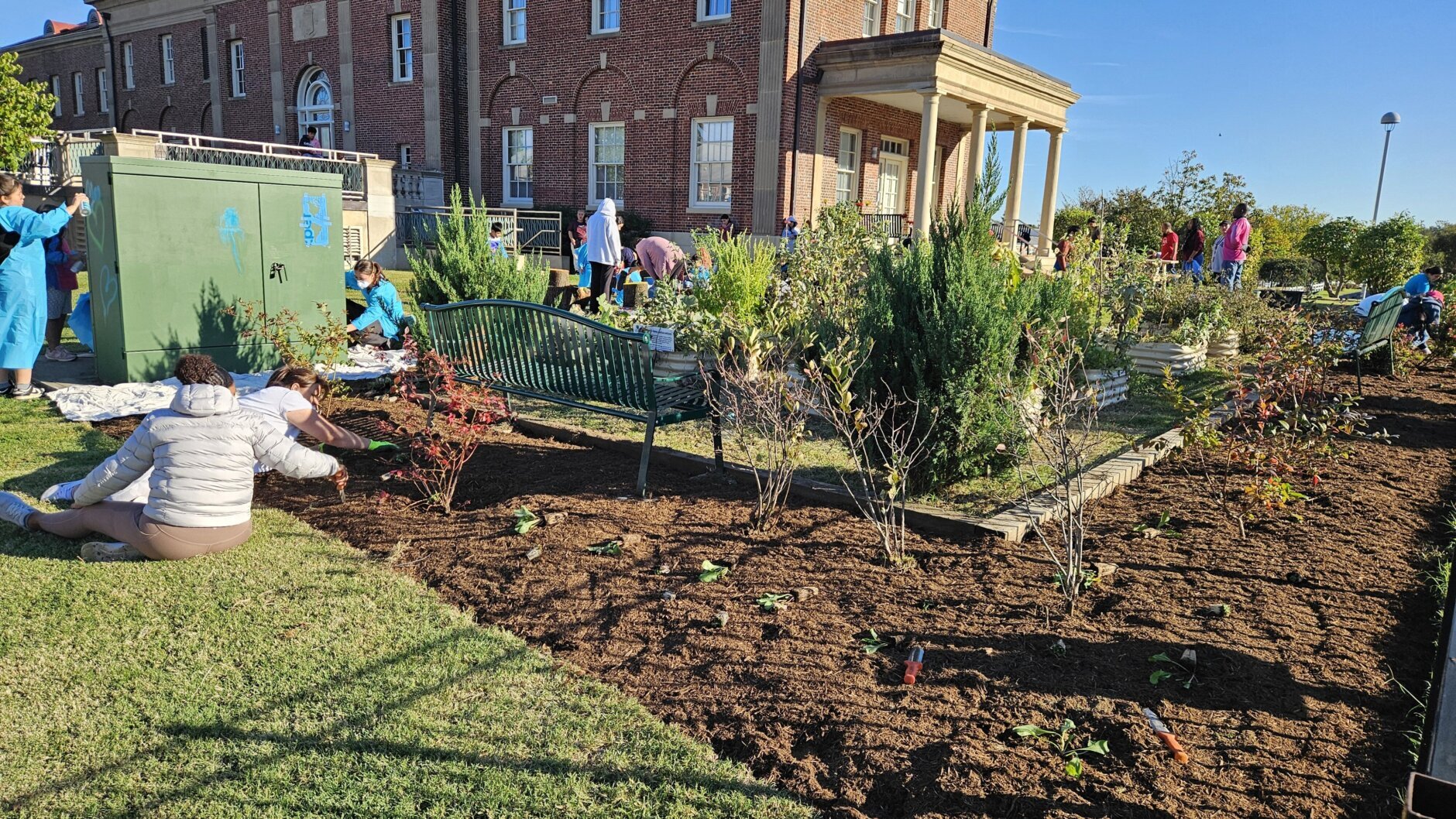 Langley Park community garden