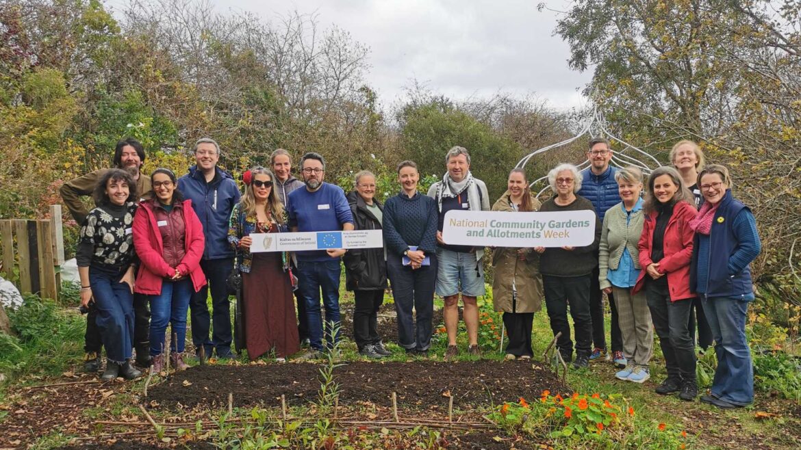 Community Gardens Take Centre Stage in Galway Launch Community-gardens-1200x675 Community Gardens Take Centre Stage in Galway Launch