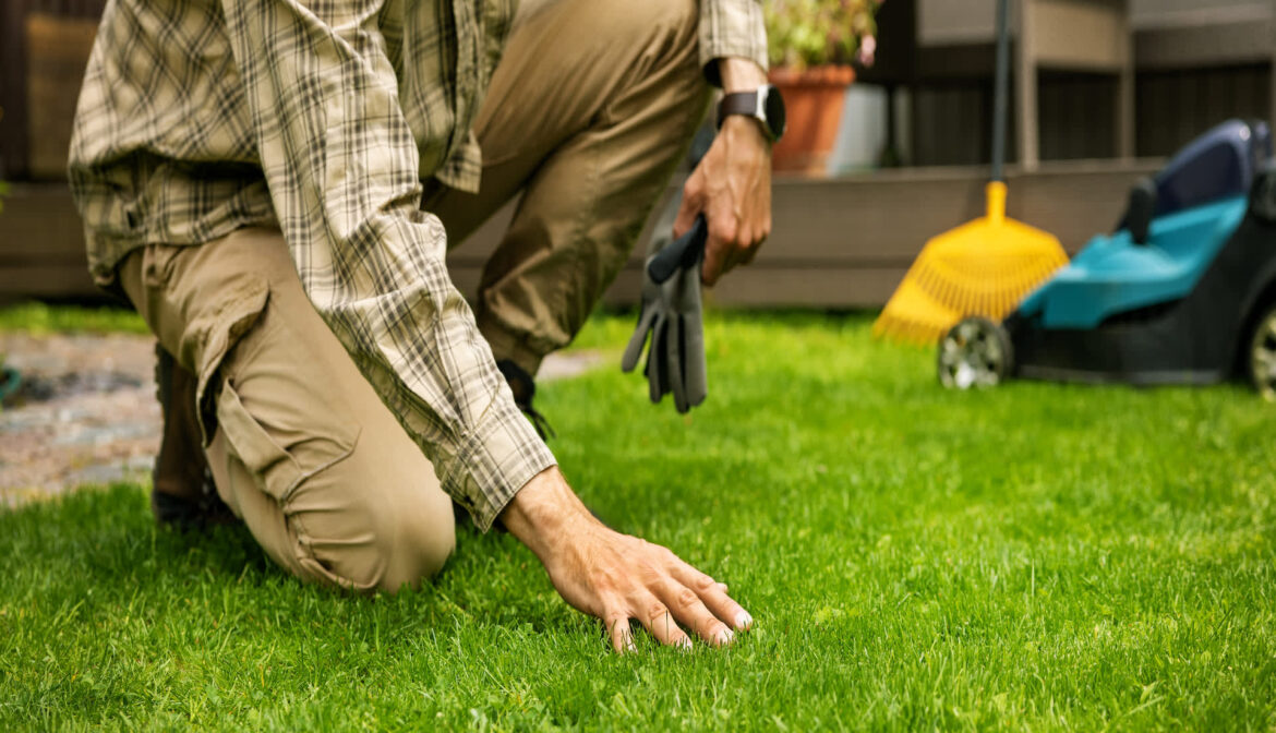 Homeowner shares heartwarming photos of unexpected garden visitors: ‘So freaking cute’ Having adorable wildlife visit your home and garden is always a delight that serves up the warm fuzzies.