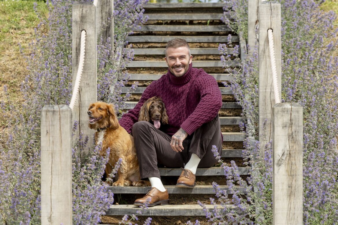 ‘It makes me feel as if I’ve done a good job as a father and that I did the right thing in wanting us to have a house here’: David Beckham on why the countryside matters so much to him and his family 'It makes me feel as if I’ve done a good job as a father and that I did the right thing in wanting us to have a house here': David Beckham on why the countryside matters so much to him and his family