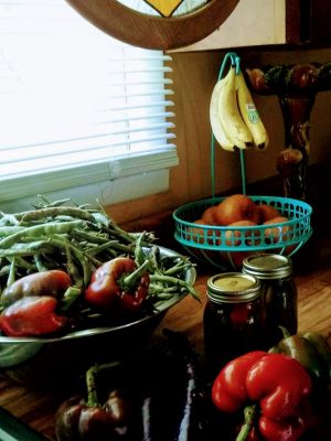 Fall Mapping, Rotate Crops