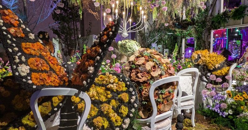 Philadelphia Flower Show announces 2026 theme on origins of gardening in the U.S. Philadelphia Flower Show announces 2026 theme on origins of gardening in the U.S.