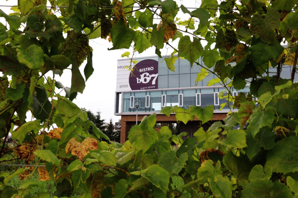 A sign saying Bistro '67 is framed by foliage.