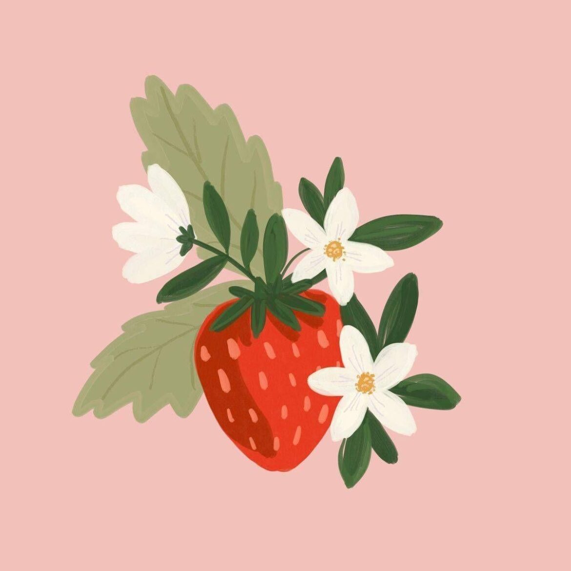 Looking for feedback on a "Find My Plant Match" tool idea to hep with your planting plan!