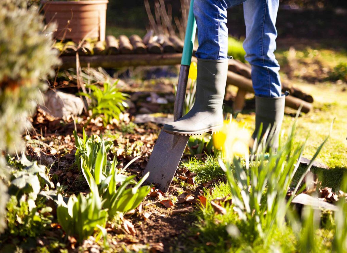 Can You Leave Annuals in the Ground Over Winter? We Asked Gardening Experts Can You Leave Annuals in the Ground Over Winter? We Asked Gardening Experts