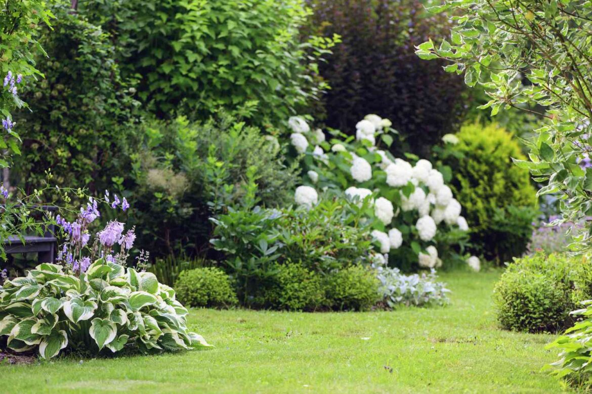 ‘Sunday Gardens’ Will Be The Biggest Outdoor Trend Of 2026 ‘Sunday Gardens’ Will Be The Biggest Outdoor Trend Of 2026
