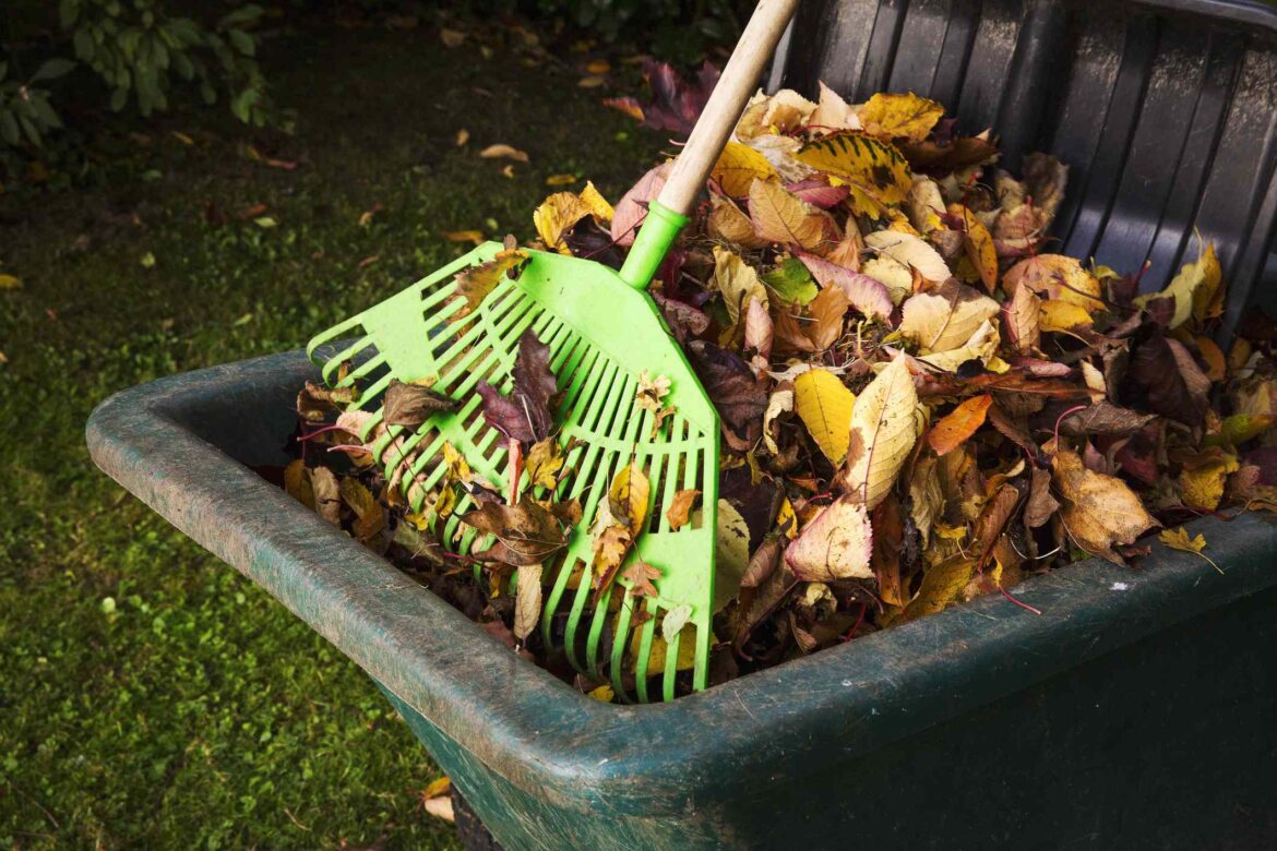 Do You Have to Rake Leaves From Your Garden Beds? Pros Say It Depends Do You Have to Rake Leaves From Your Garden Beds? Pros Say It Depends