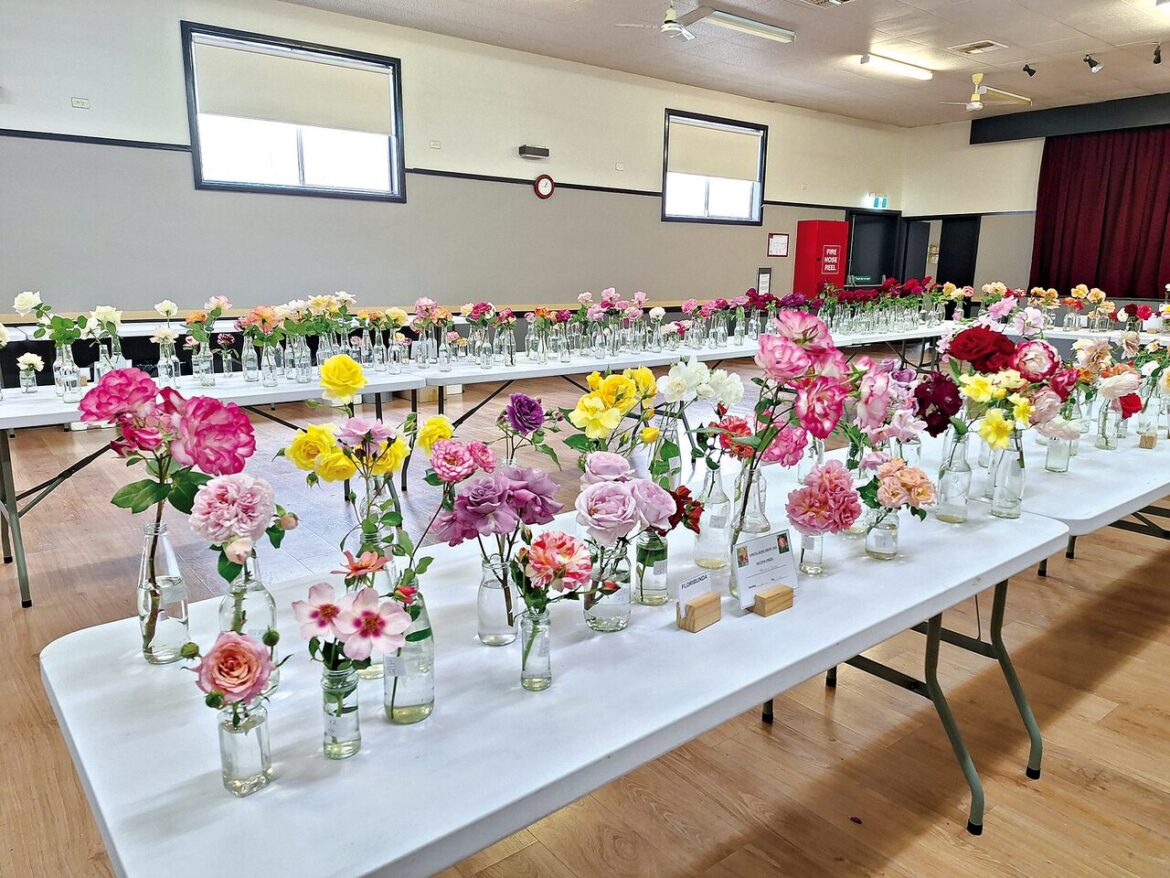 Stunning flower display coming soon for Annual Rose Show Stunning flower display coming soon for Annual Rose Show