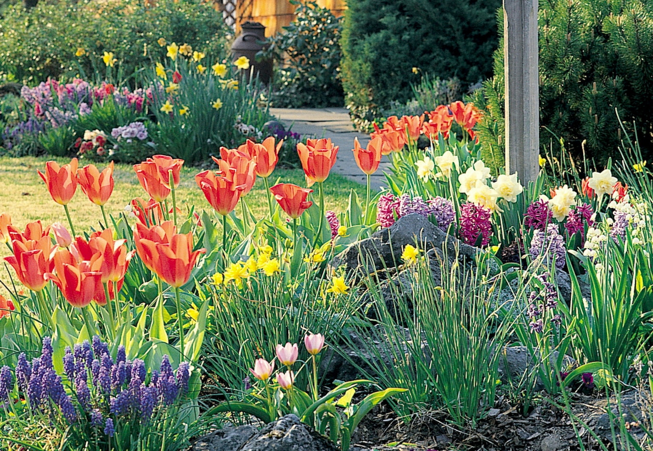 Blooming all at once