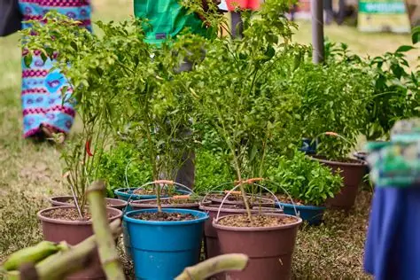 Home Gardening