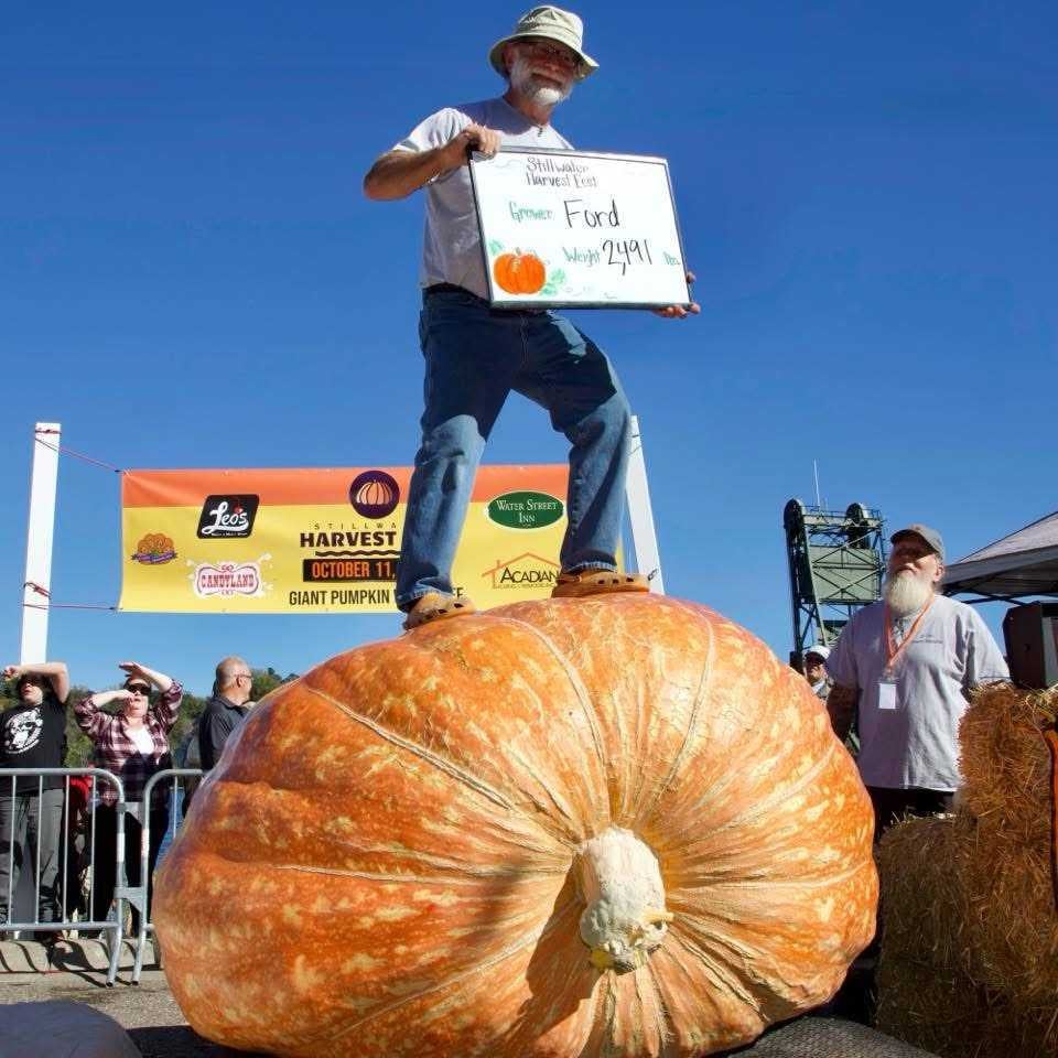 A man stands on a giant pumpkin holding a sign that reads “Grower: Ford, Weight: 2191.” People and a banner for a harvest festival are visible in the background.