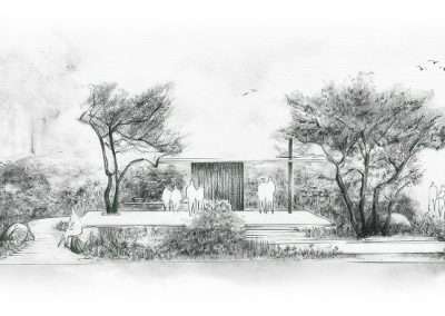 Asthma + Lung UK Breathing Space Garden by Angus Thompson