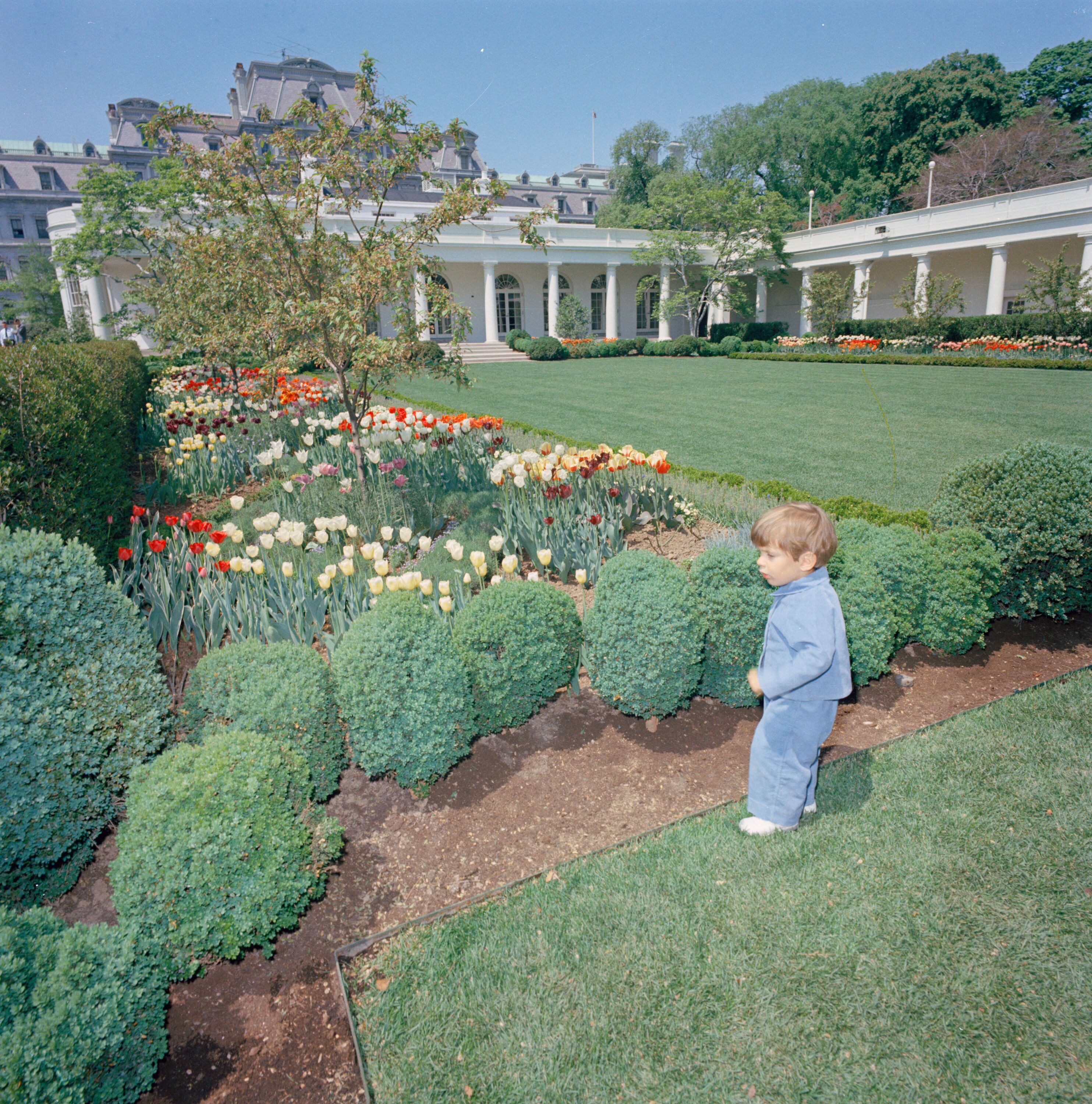 Jack Schlossberg shared a picture of JFK Jr. in the White House’s Rose Garden as he railed against Trump’s decision to pave over the historic lawn