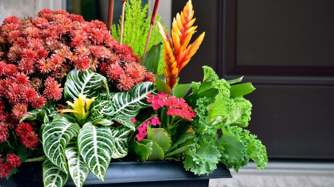 Joanna Gaines shares her tips on how to create beautiful planters — here’s how to get the look Container gardening with a planter full of blooms