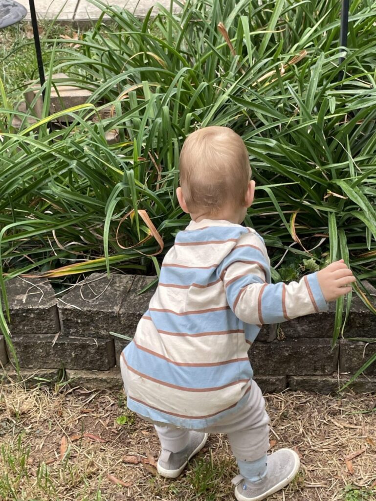 From the Ground Up: Kid-sized gardening – thereporteronline From the Ground Up: Kid-sized gardening – thereporteronline