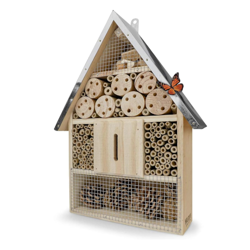 Amazon bug hotel