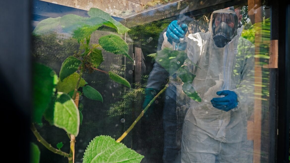 What it takes to tend poisonous plants in the world’s deadliest garden What it takes to tend poisonous plants in the world’s deadliest garden