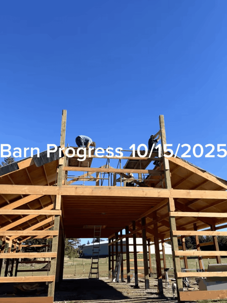 Barn Progress 10/15/2025