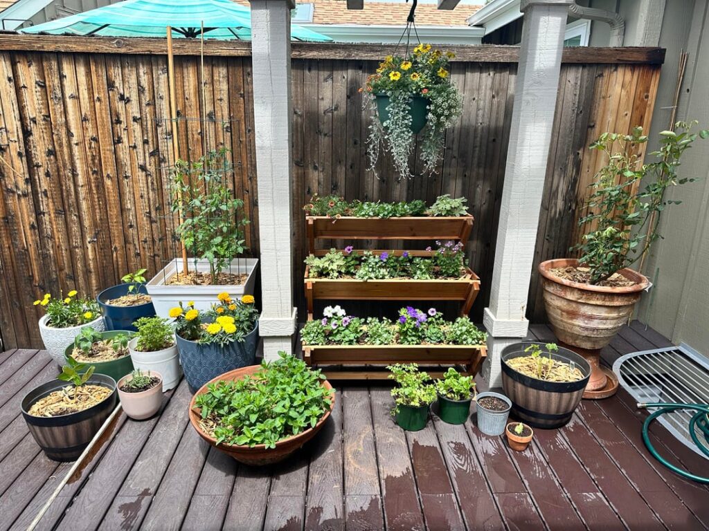 My First ever garden and my new found love. How do I fill the void during the Winter??