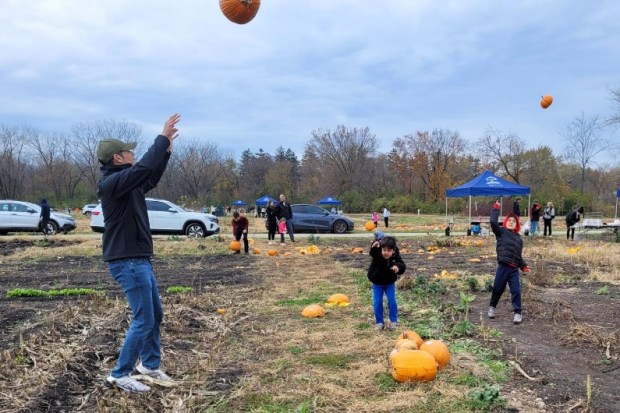 Families throw pumpkins as part of Naperville Park District's Pumpkin Smash, which yielded more than 15,000 pounds of discarded pumpkins and gourds for compost at the Ron Ory Community Garden Plots in Naperville. (Naperville Park District)