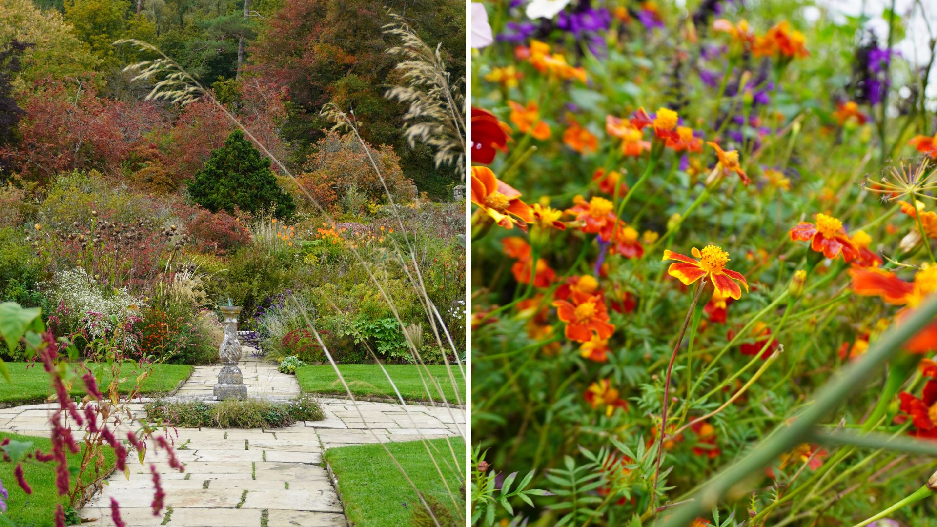 Fall at Gravetye Manor