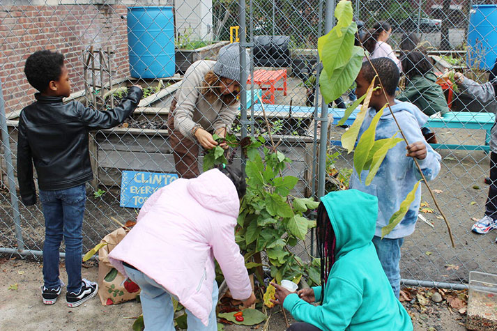 Farm Project Teaches Students Gardening, Cooking Students at Clinton and Smith elementary schools will beautify and harvest from their outdoor gardens and learn how to cook using those ingredients.