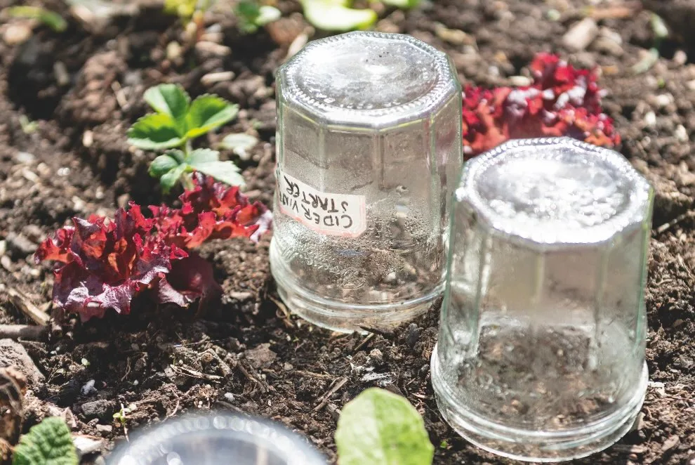 Poppy Okotcha gardening jam jars