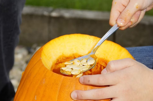 pumpkin seeds
