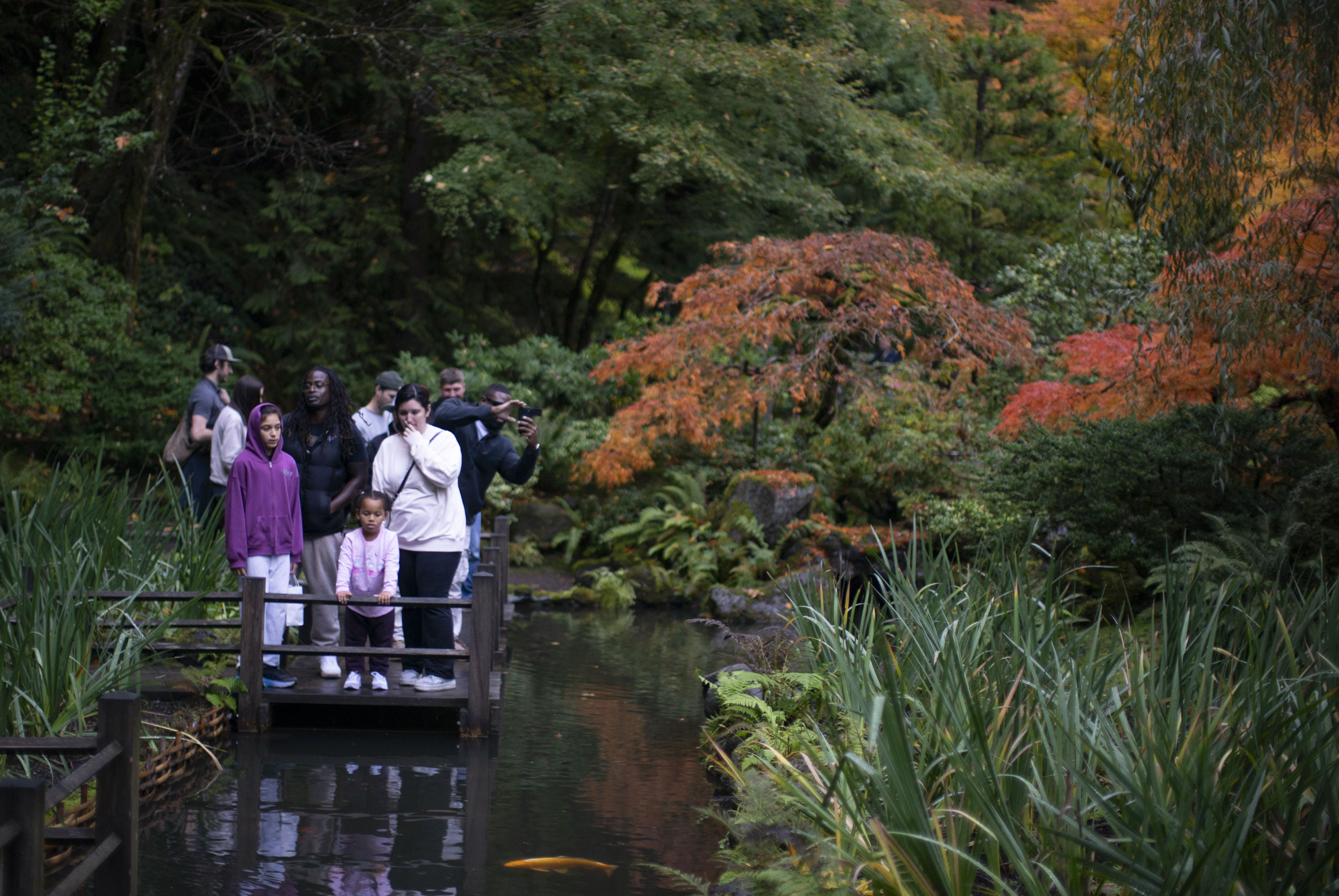 It’s the perfect time to visit the Portland Japanese Garden if peak foliage viewing is what you’re after. October 29, 2025