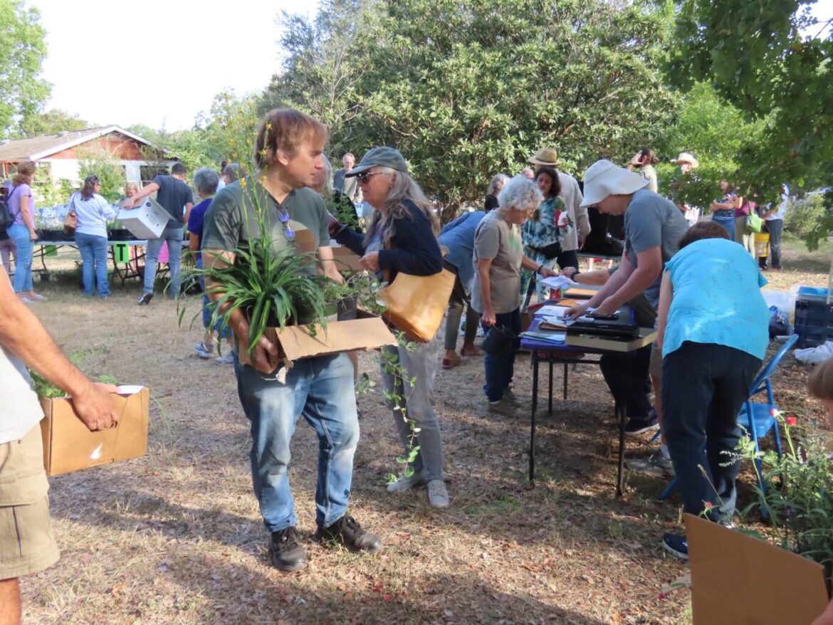 Austin Native Plant Society of Texas: plant sale on Sunday, 2 November 2025 Austin Native Plant Society of Texas: plant sale on Sunday, 2 November 2025
