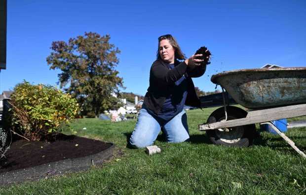 Mary Jo Lucas of Bernville, Berks County coordinator for Keystone Family Alliance, mulches shrubbery as part of a home repair project in Kutztown on Saturday, Oct. 25, 2025. (BILL UHRICH/READING EAGLE)