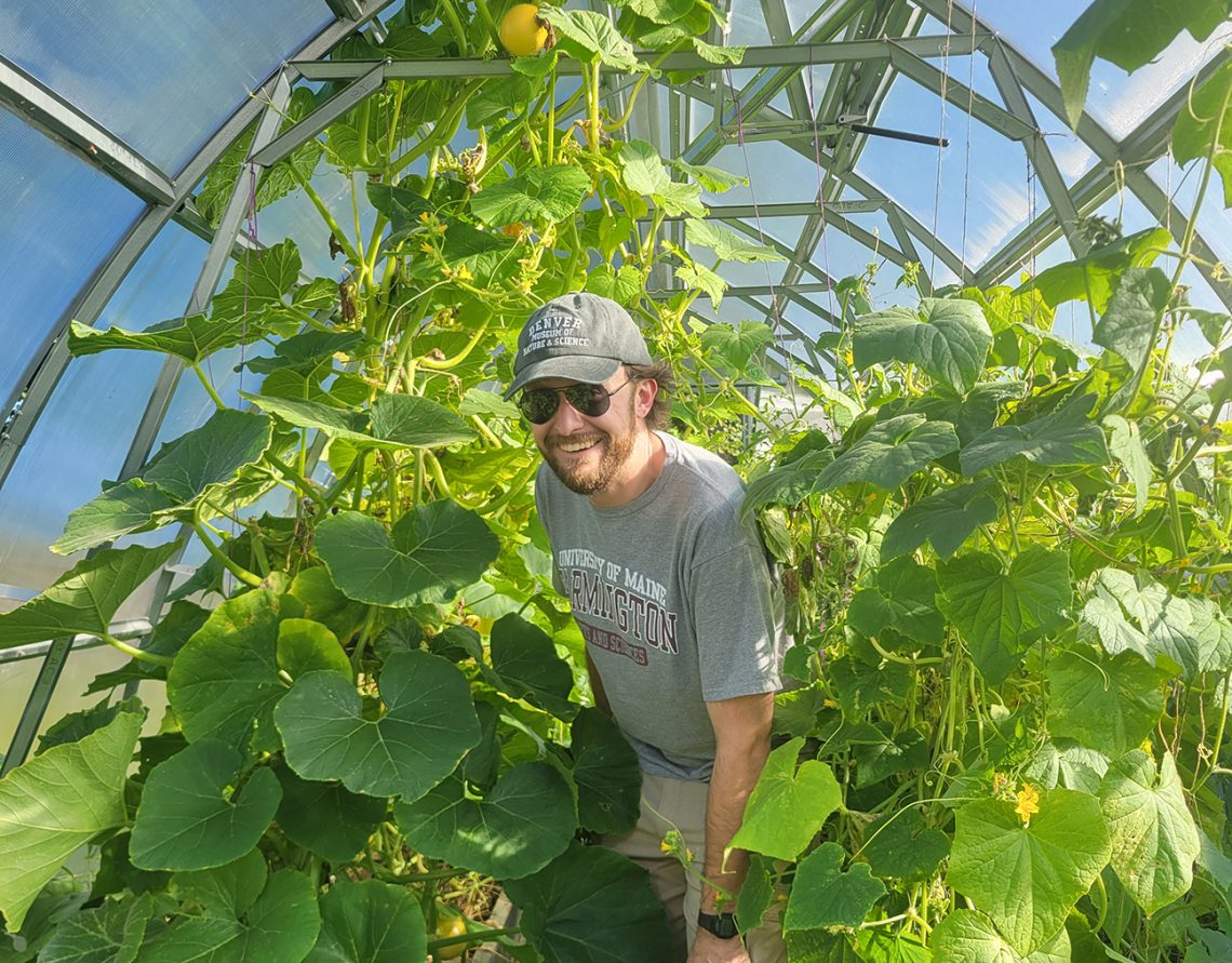Larry Tuttle, garden director, in the garden's prolific greenhouse where squash, cucumbers, tomatos, peppers and more are grown.