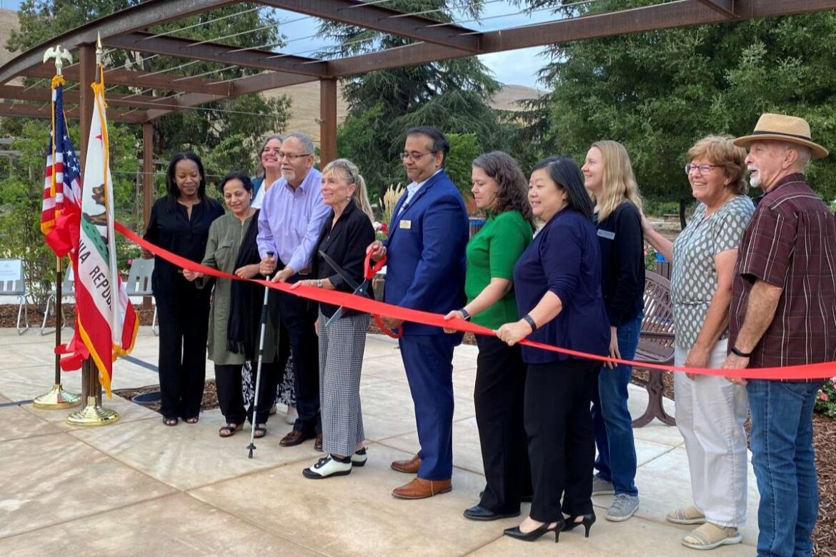 Rose garden blooms in Fremont Rose garden blooms in Fremont