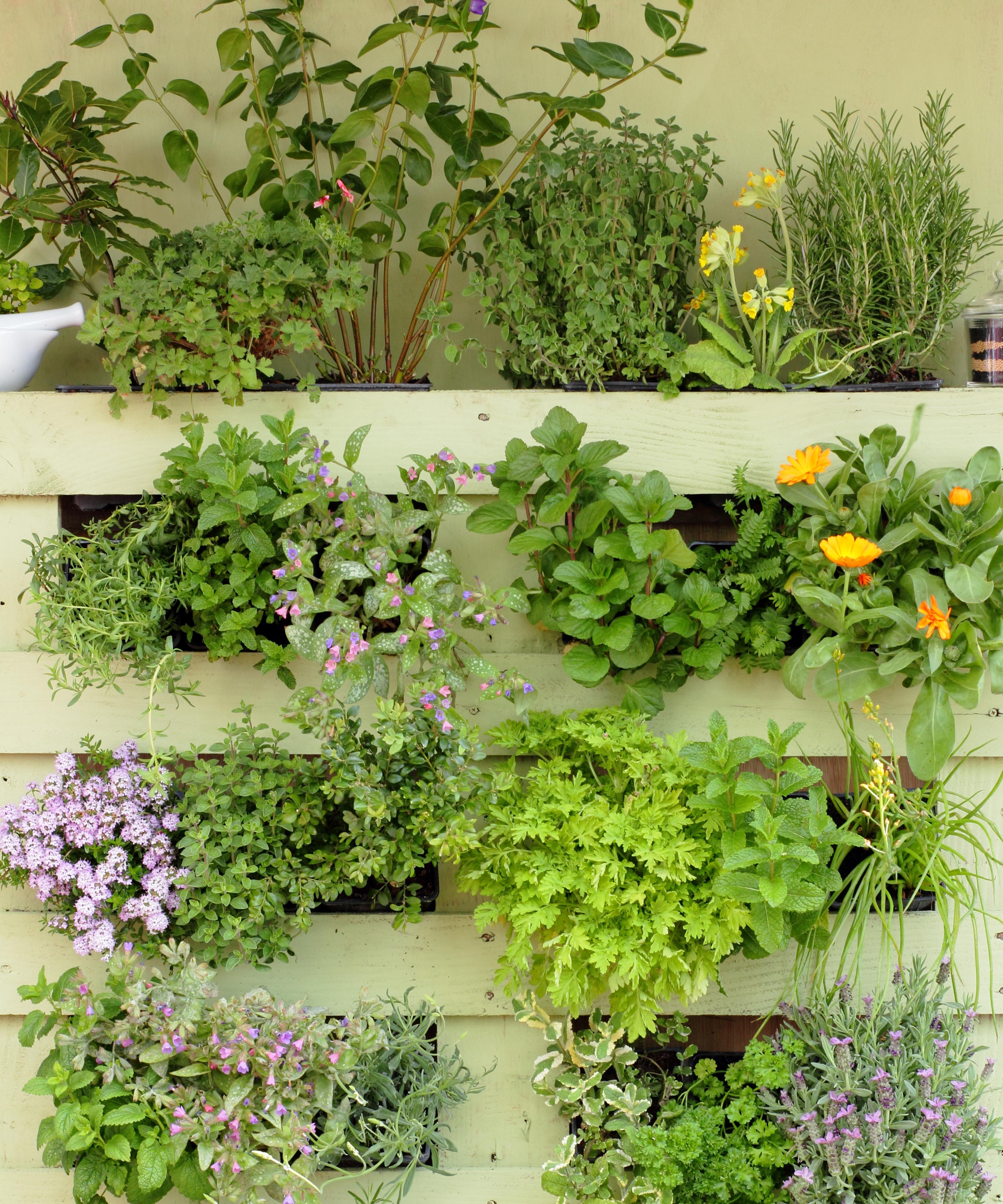 Vertical pallet planter