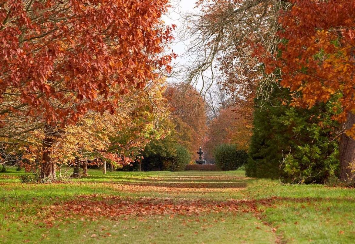 Kent gardens, parks and estates where you can see autumn colours in 2025 Kent gardens, parks and estates where you can see autumn colours in 2025