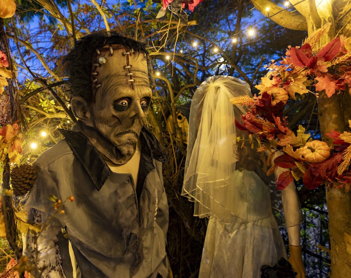 Visit the Halloween Garden… if you dare Visit the Halloween Garden... if you dare