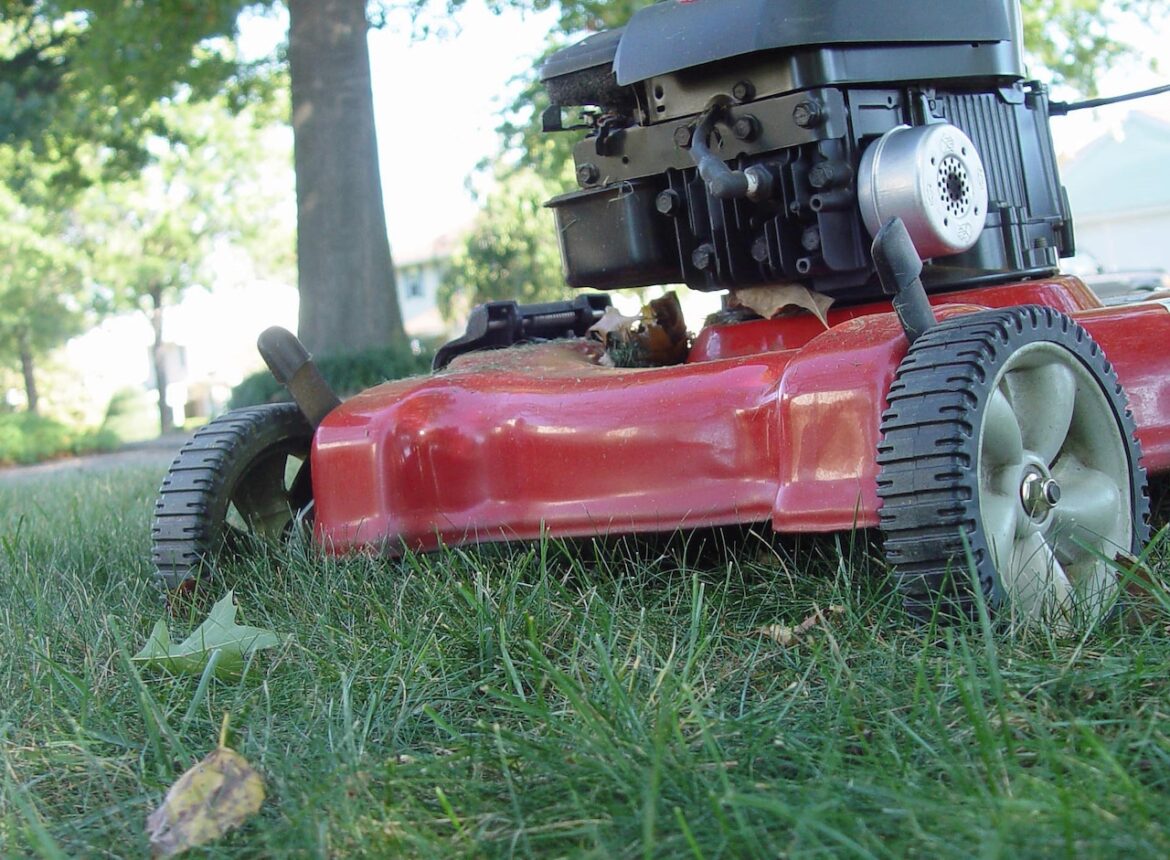Why it makes sense to cut the grass short at the end of the season Mostly Sunny