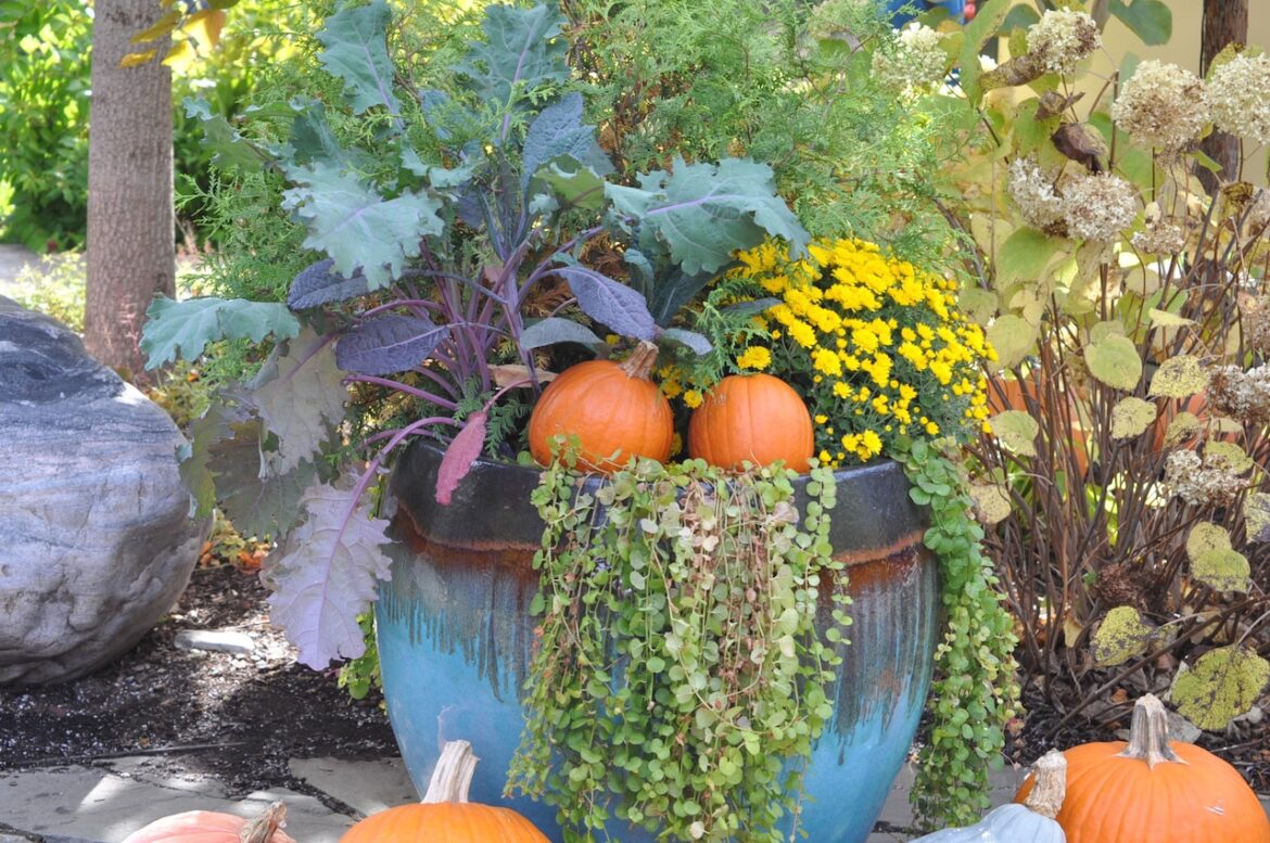 Don’t put the flower pots away, turn them into four-season decorators Mostly Sunny