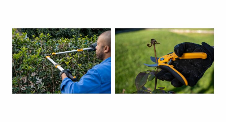 WIN! STIGA pruning set – MoneyMagpie WIN! STIGA pruning set - MoneyMagpie